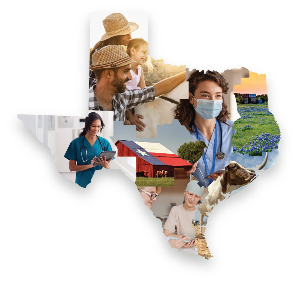 texas-health-services-authority-texas-health-services-authority